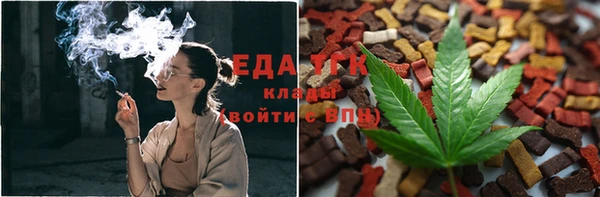 дмт Гусев