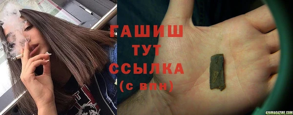 дмт Гусев