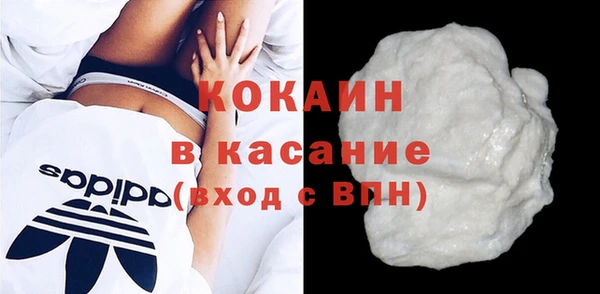 дмт Гусев