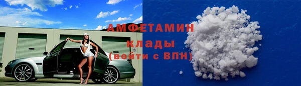 дмт Гусев