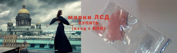 дмт Гусев