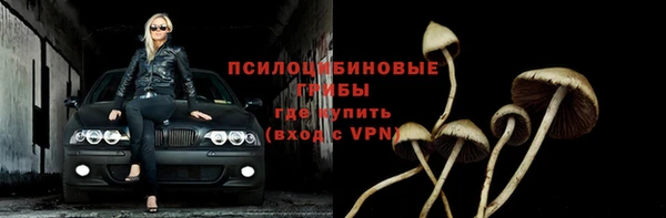 дмт Гусев