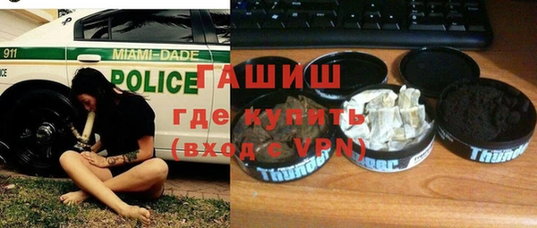 дмт Гусев