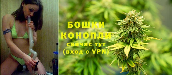 сатива Гусиноозёрск