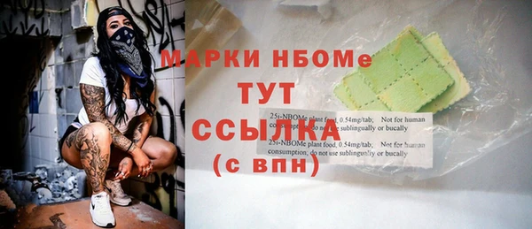 дмт Гусев