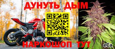 ГАЛЛЮЦИНОГЕННЫЕ ГРИБЫ Заводоуковск