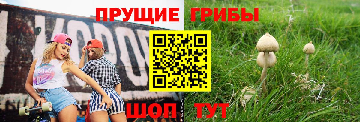 Галлюциногенные грибы мухоморы  Вход с VPN  Псилоцибиновые грибы Magic Shrooms  Обь 